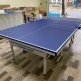 Bàn Bóng Bàn VinaSport MDF-03 (18ly)