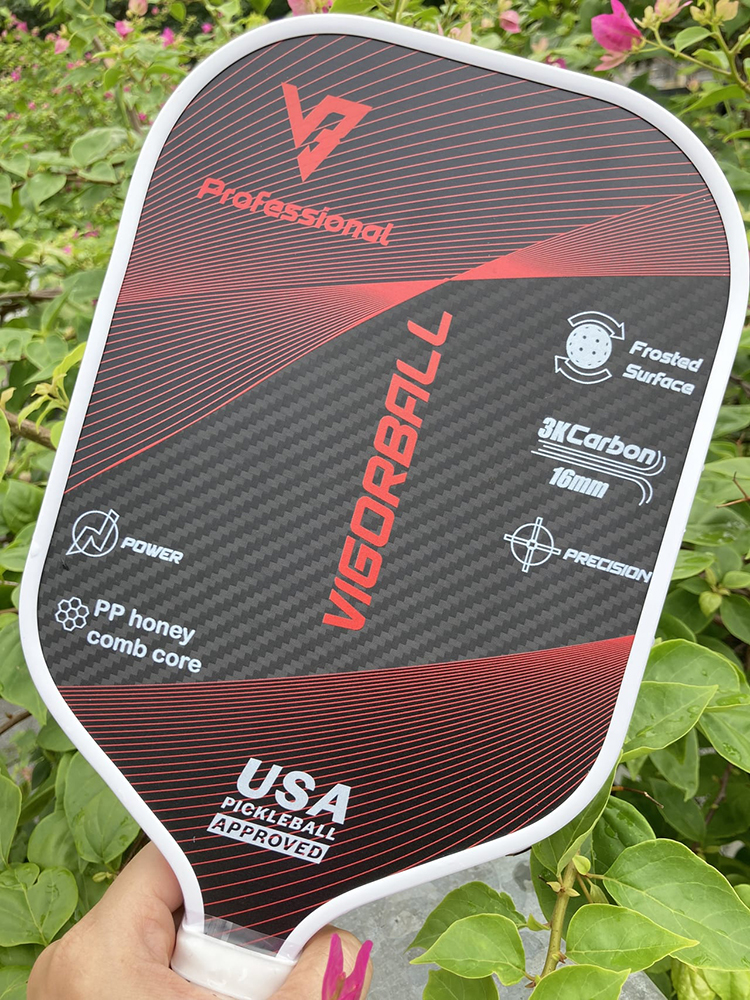 Vợt Pickleball Vigorball Professional